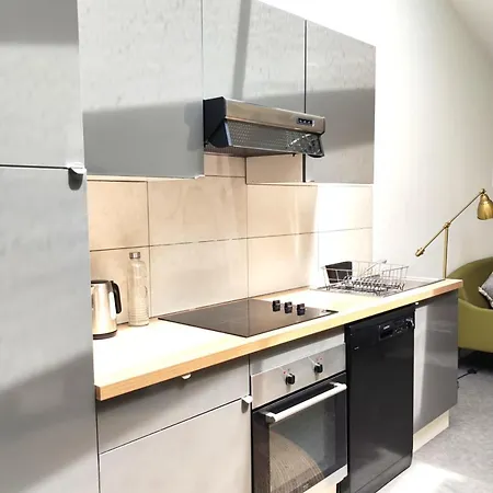 Beautiful Duplex With Ac - Place Du Palais Apartament