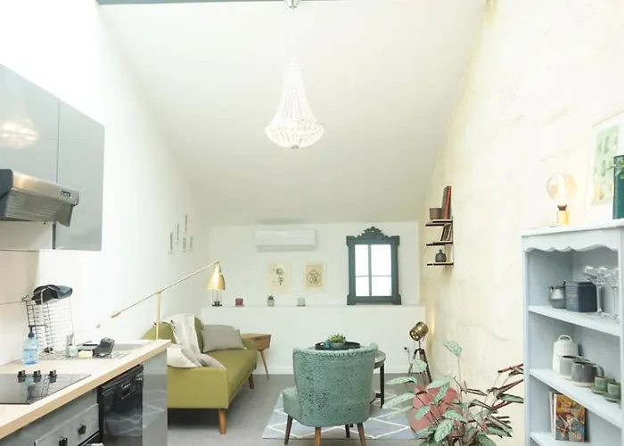 Beautiful Duplex With Ac - Place Du Palais